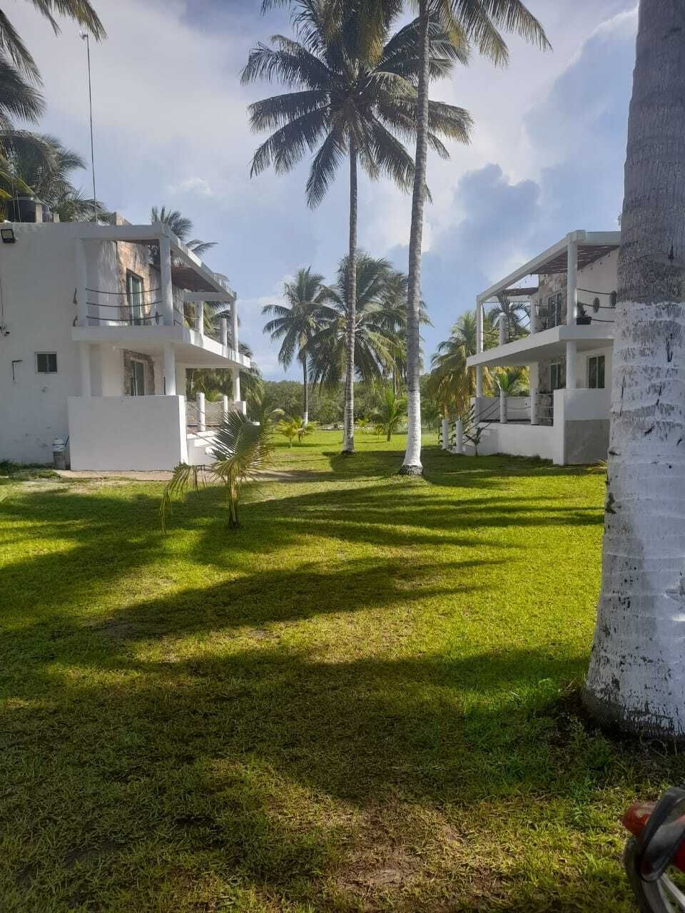 5 of 15