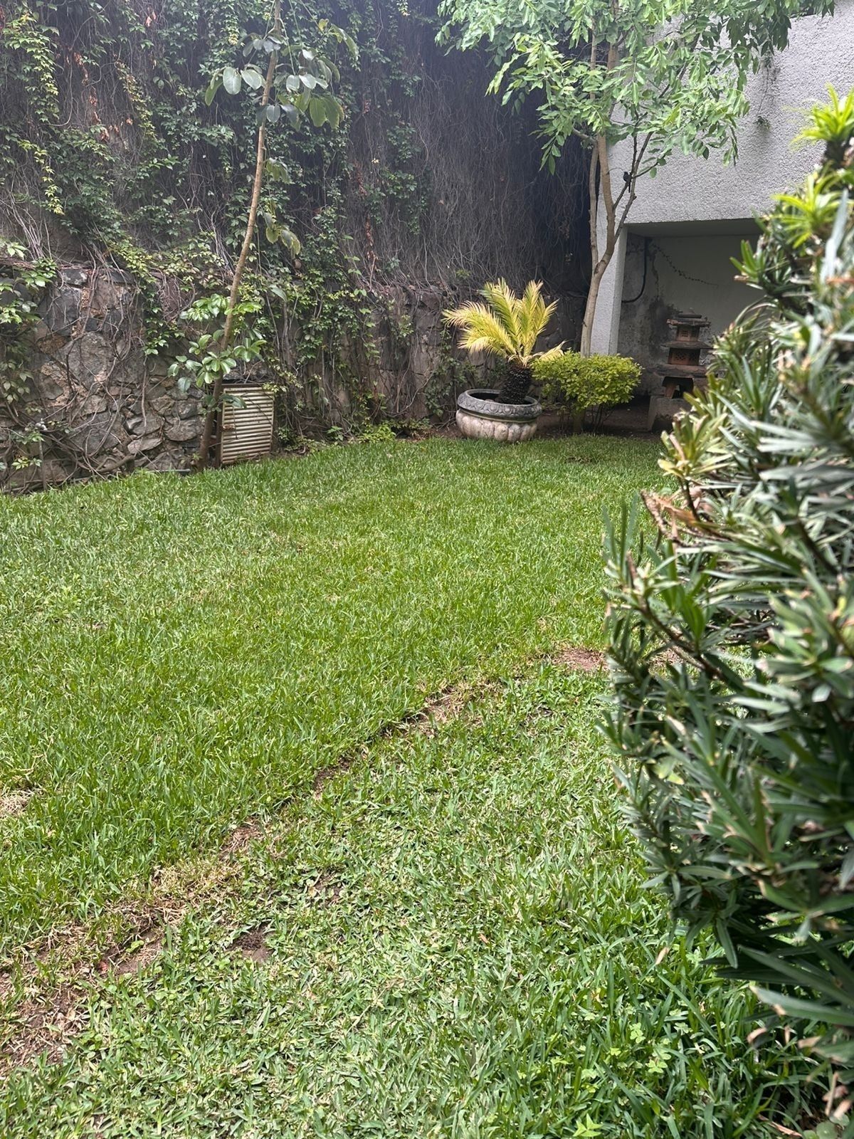 11 de 14