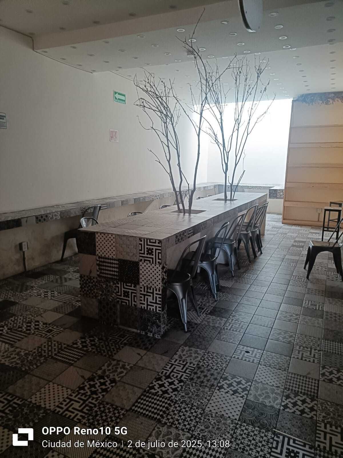 11 de 15