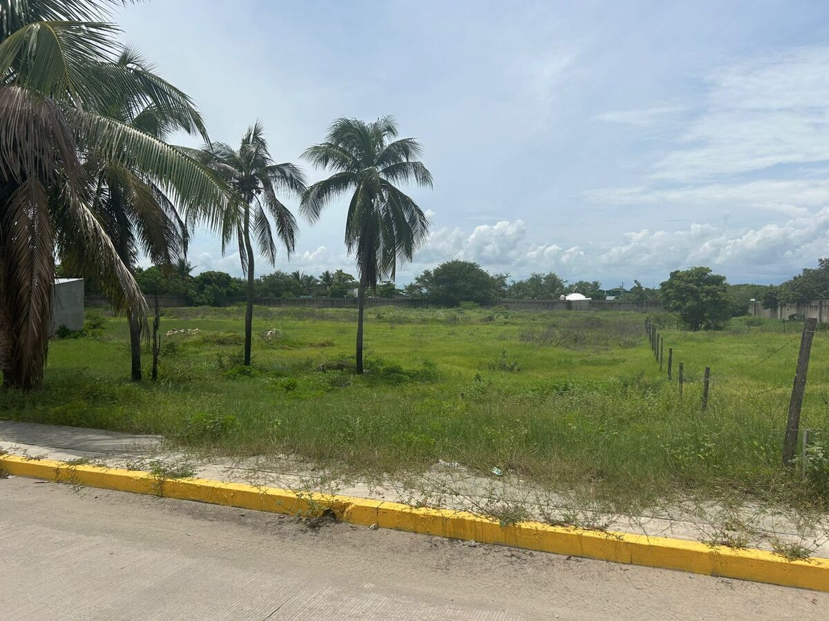 3 de 19
