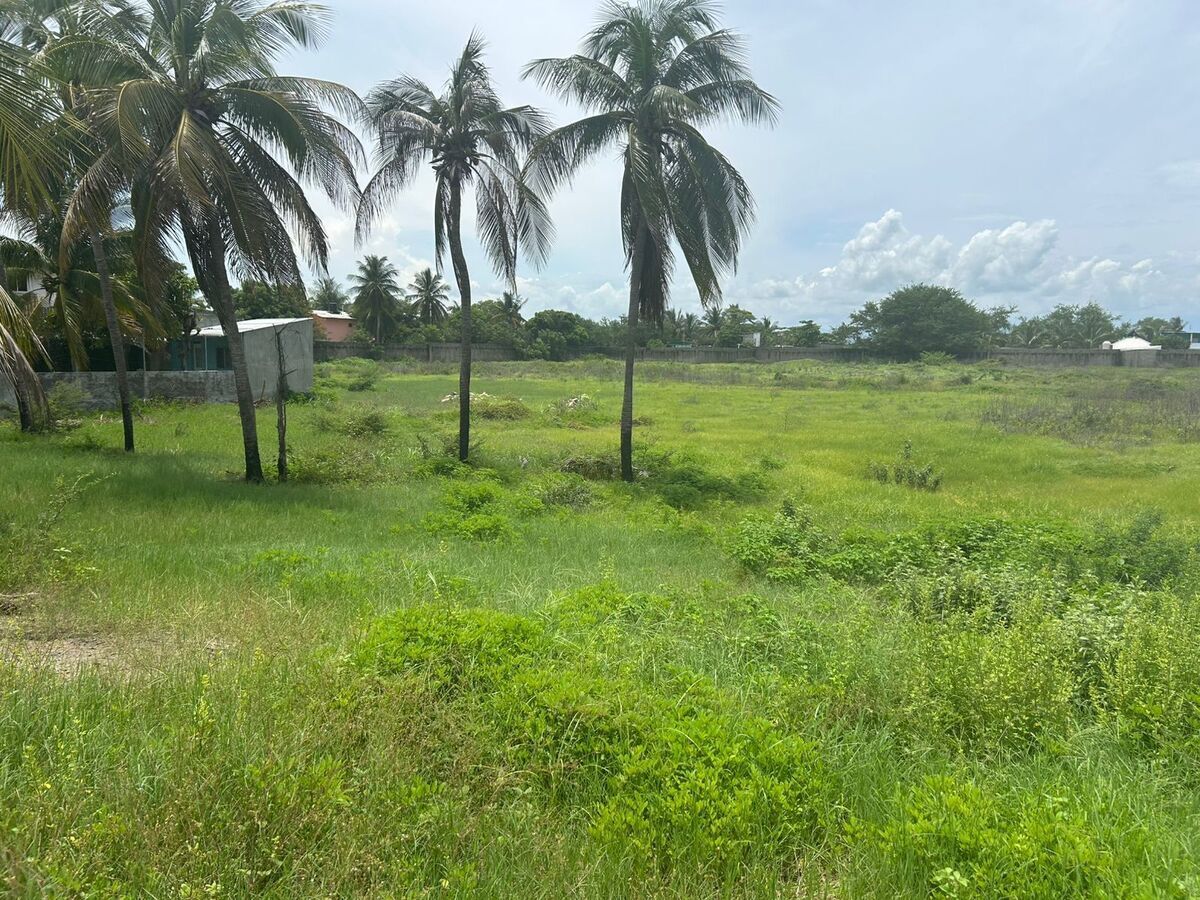 6 de 19