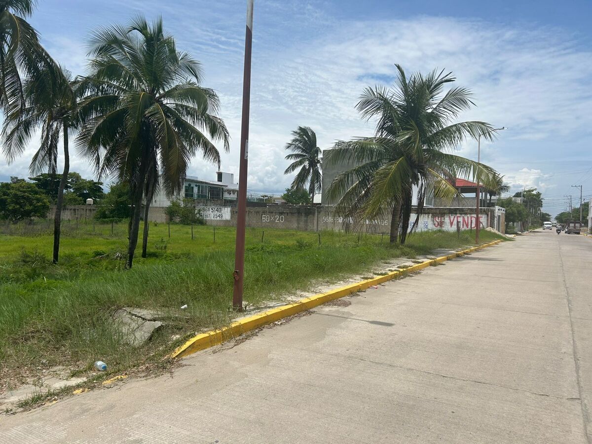 9 de 19