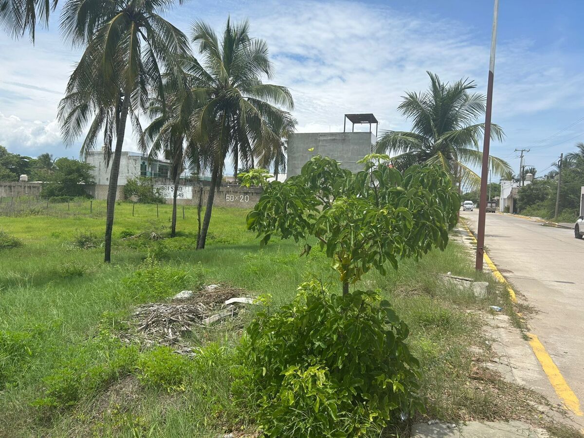 11 de 19