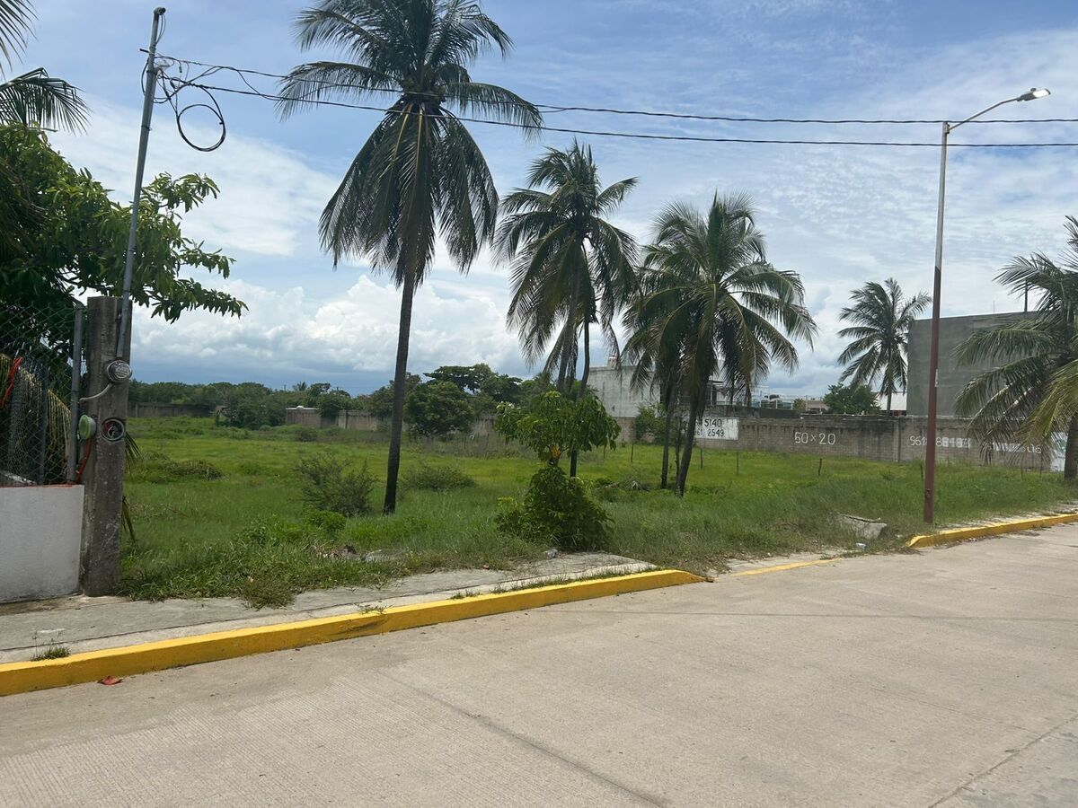 12 de 19
