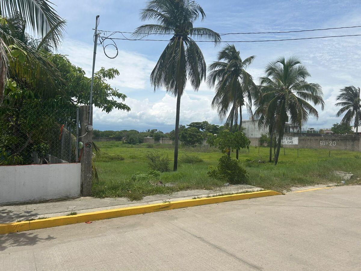 13 de 19