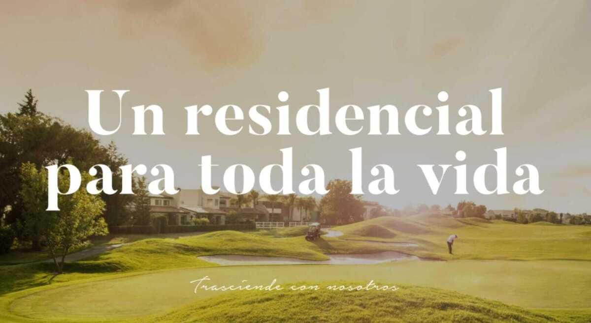 4 de 15