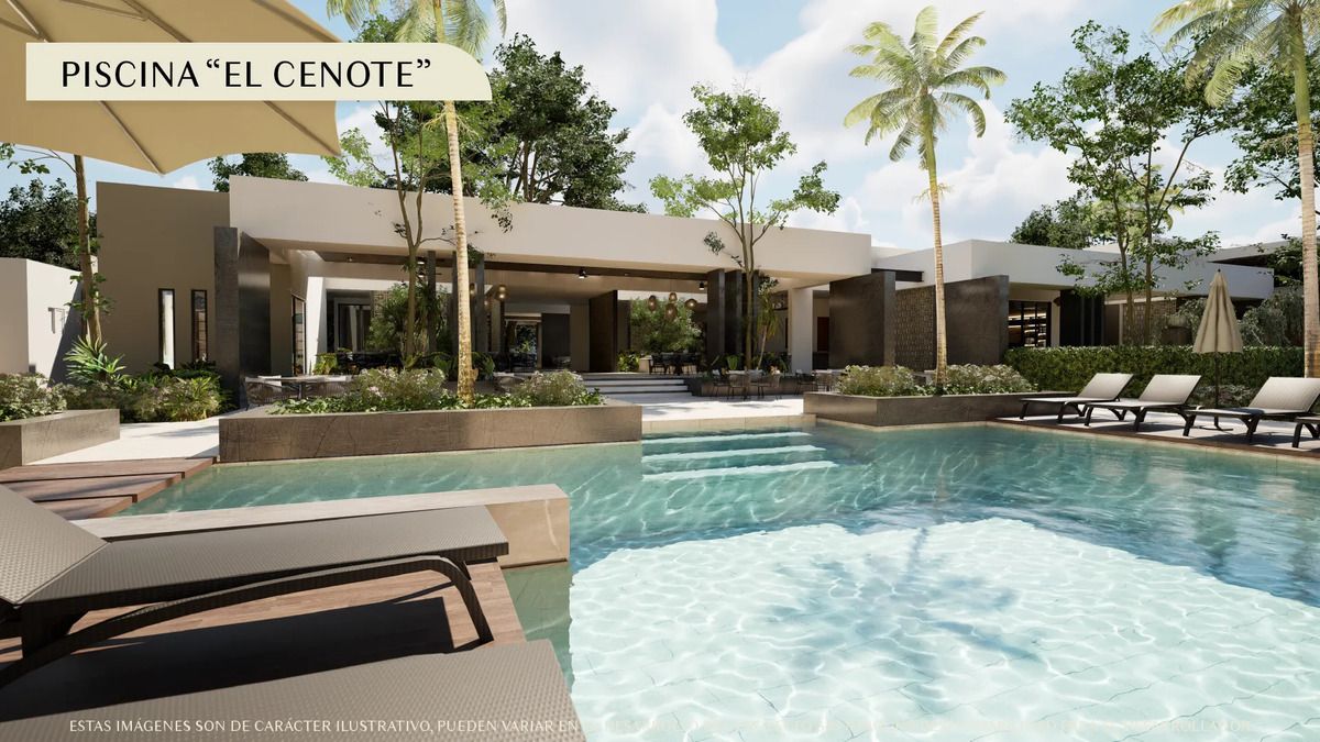 5 de 11: Alberca Cenote