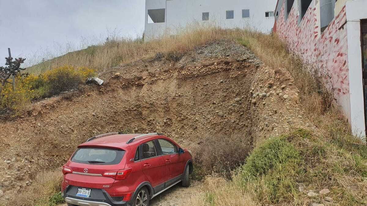 3 de 6