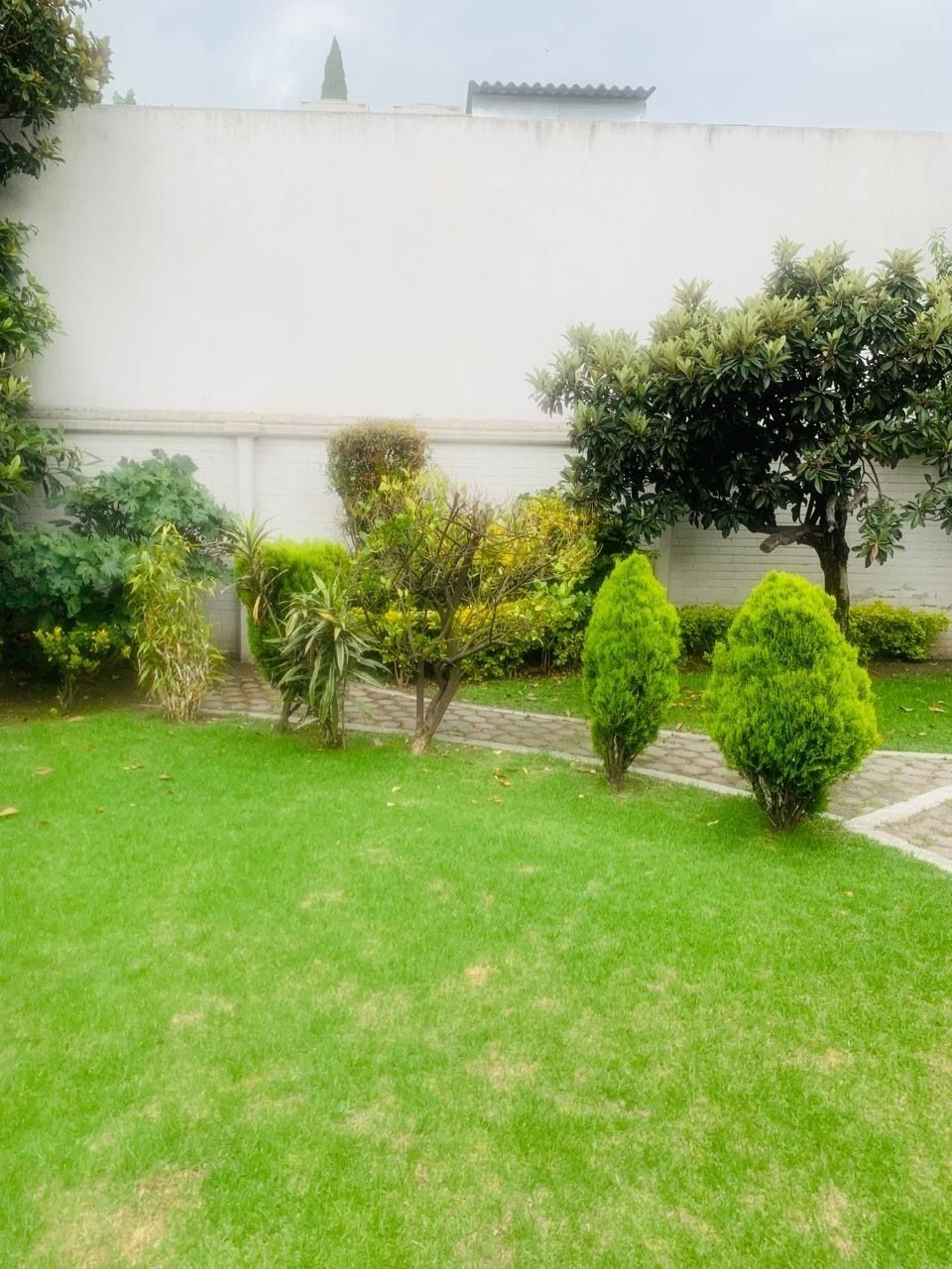 1 de 14