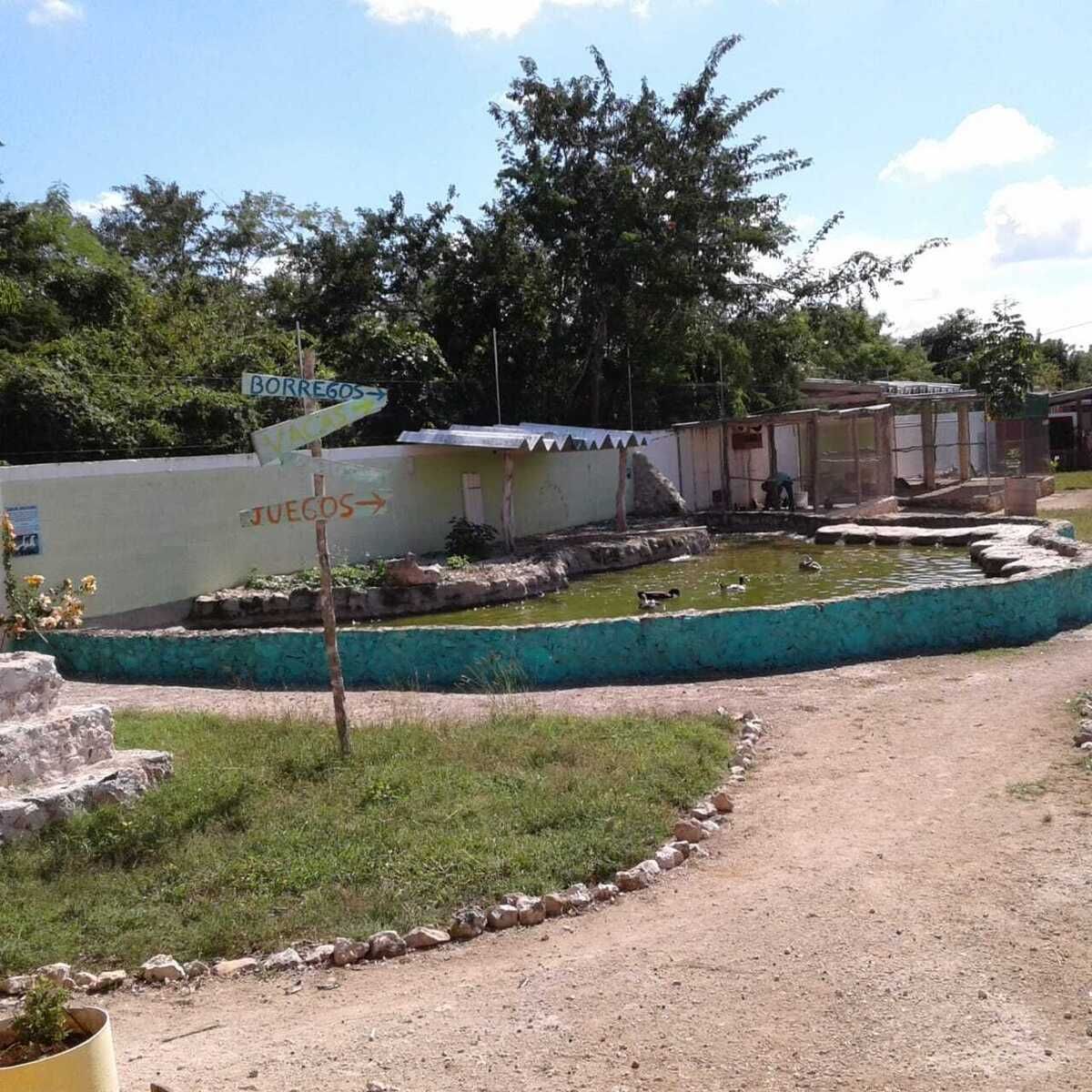 2 de 13