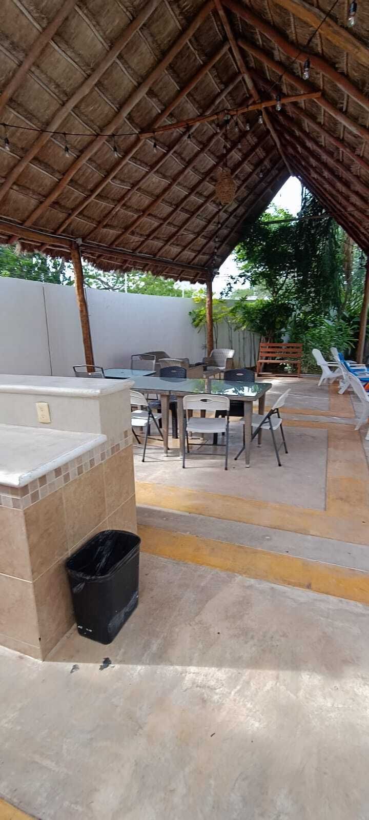 21 de 24
