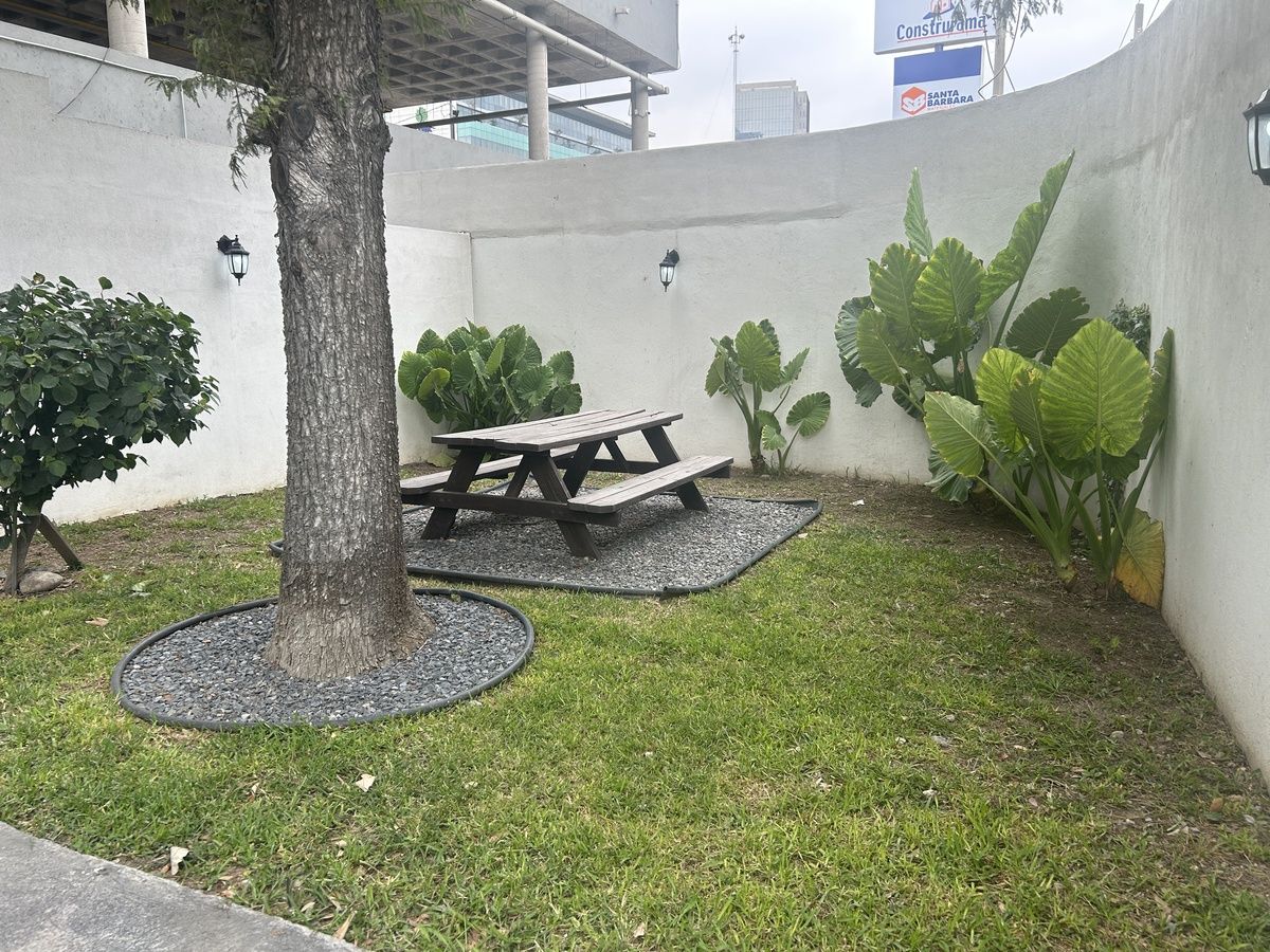16 de 19
