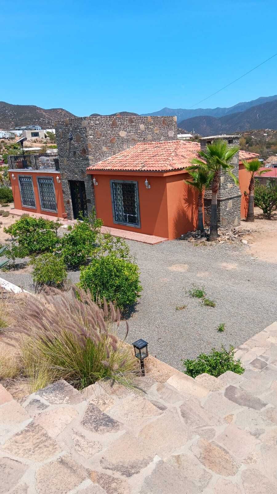4 of 24