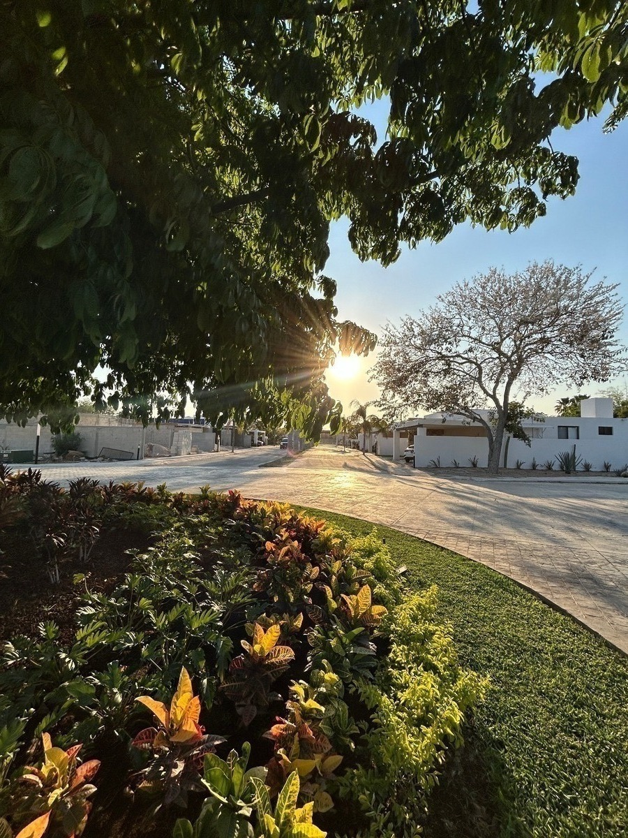 31 de 31