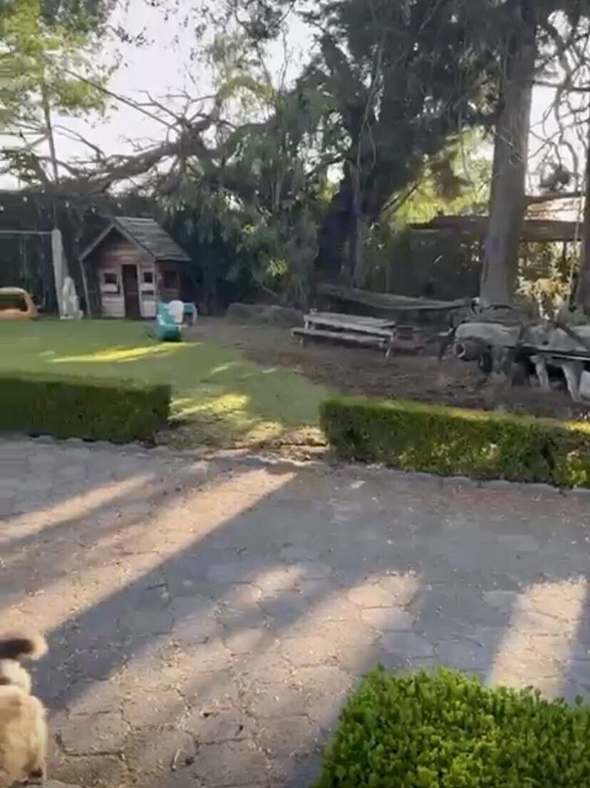 4 of 18