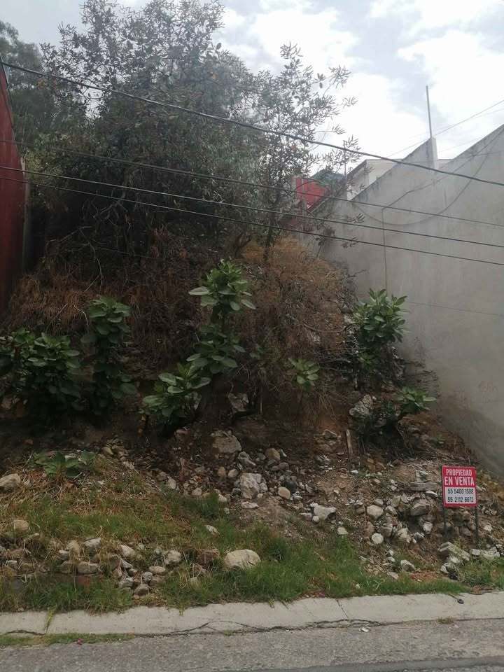 2 de 5