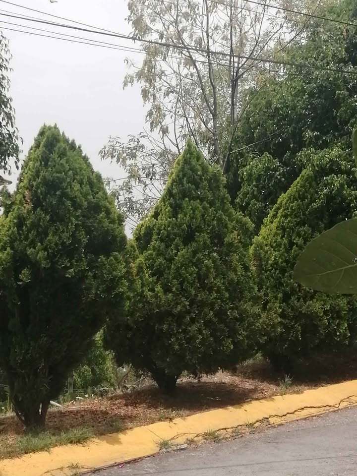 4 de 5