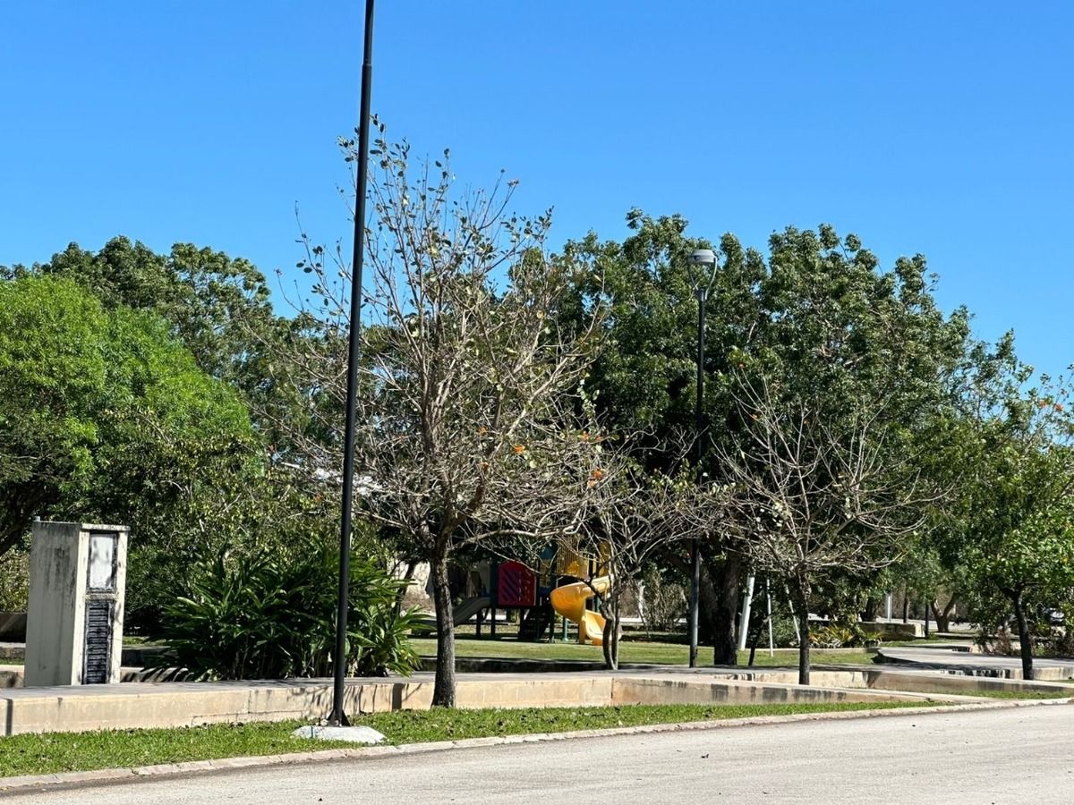 Terreno en VENTA Jardines de Rejoyada