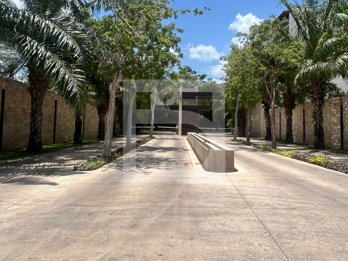 2 de 42