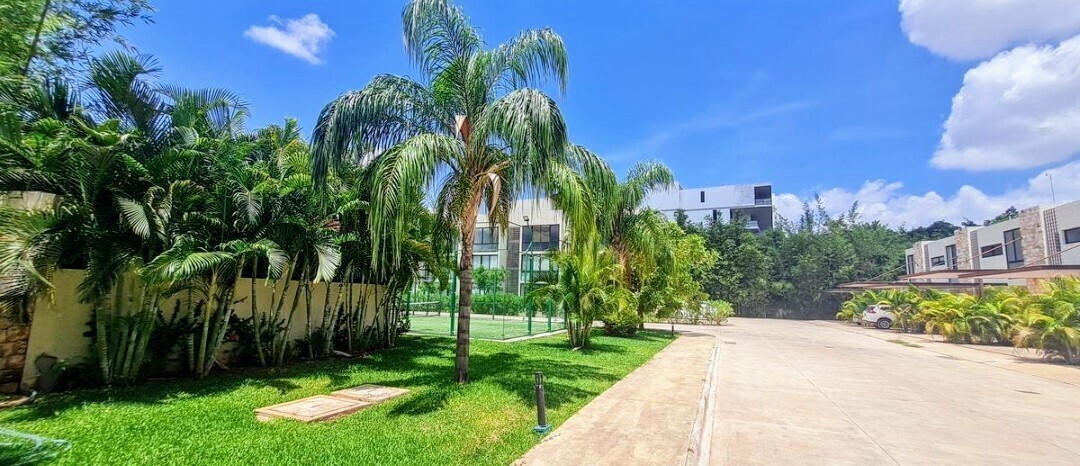14 de 16: Jardín