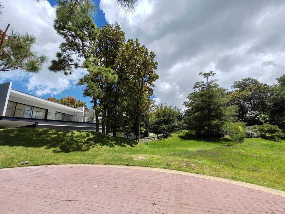1 de 8