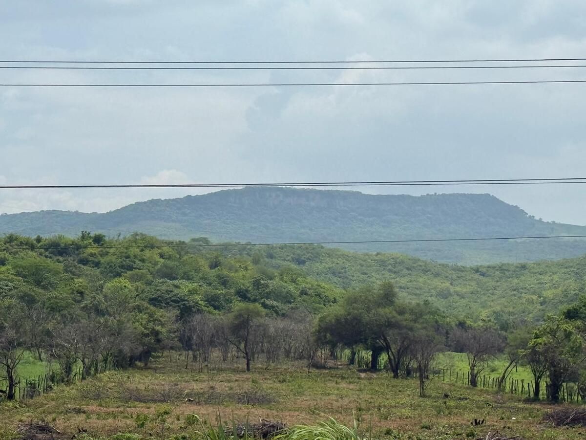 5 de 6