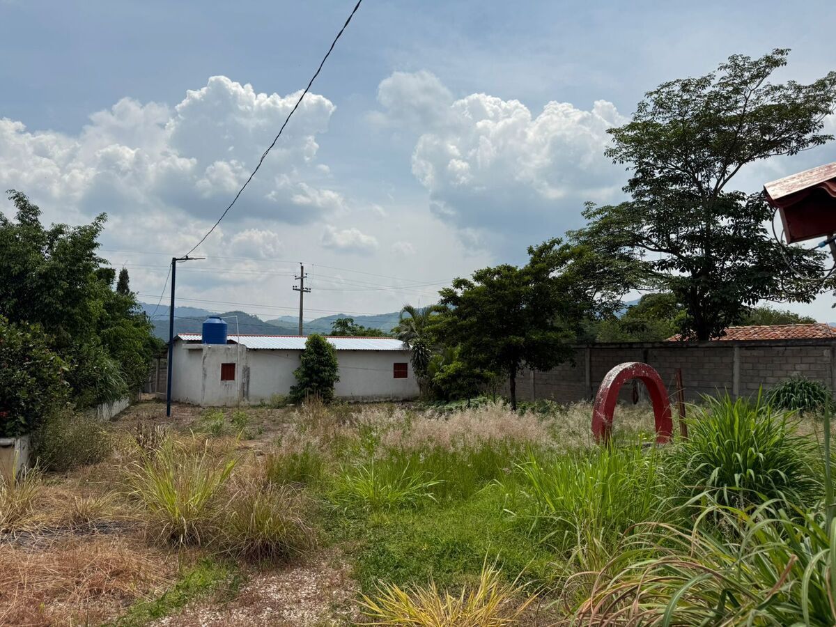 44 de 44