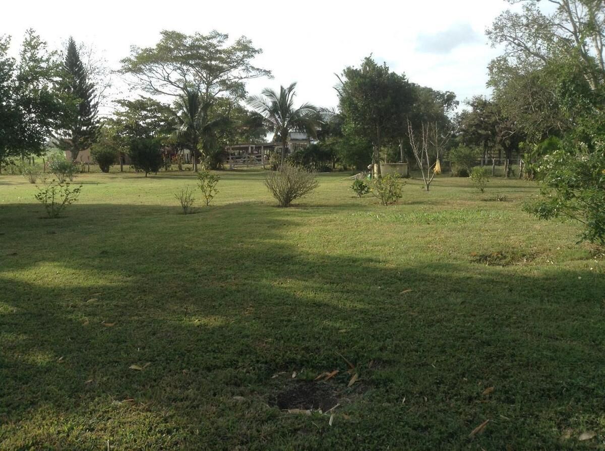 2 de 8