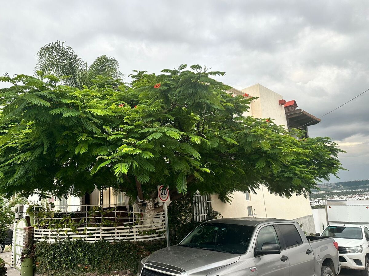 6 de 26