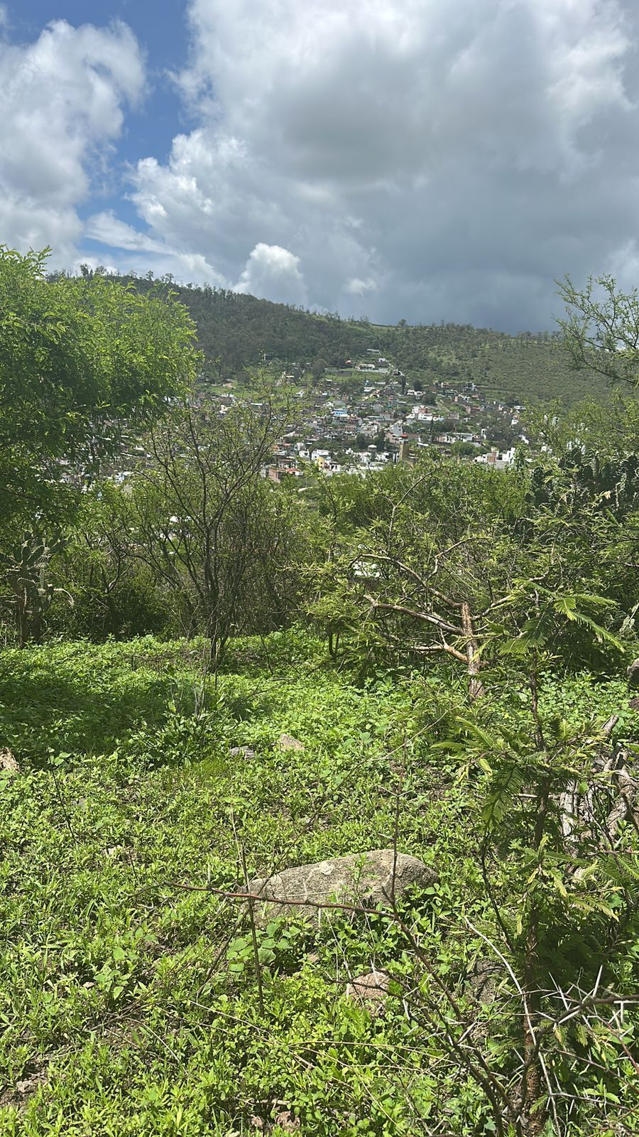 4 de 7