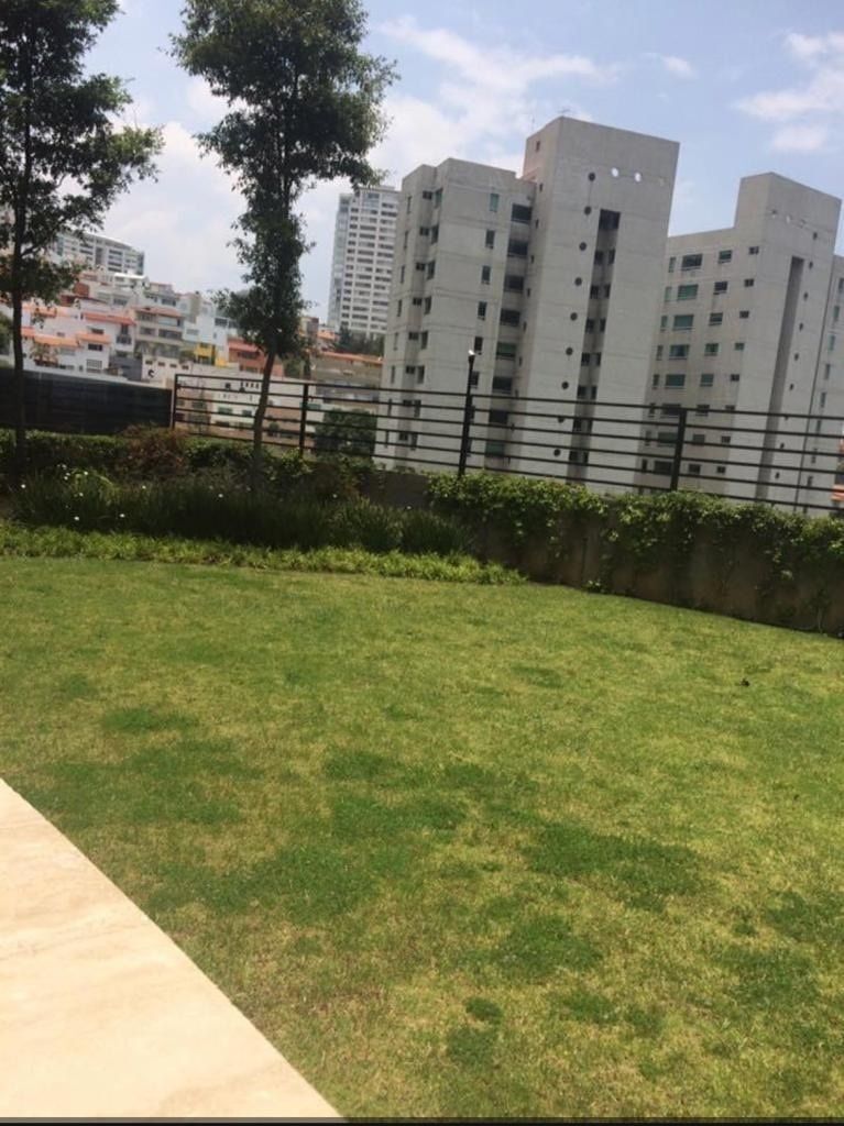 29 de 43
