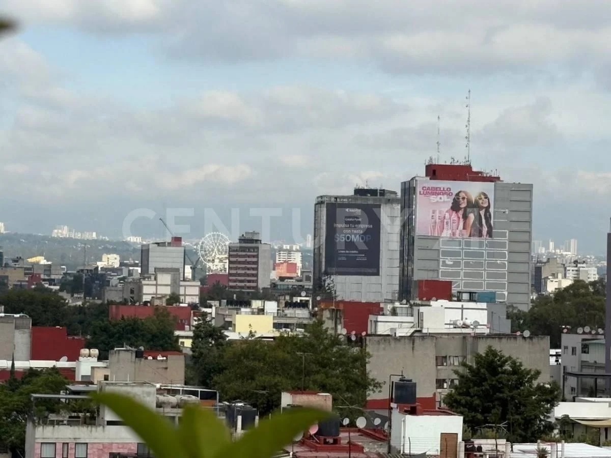 5 de 31
