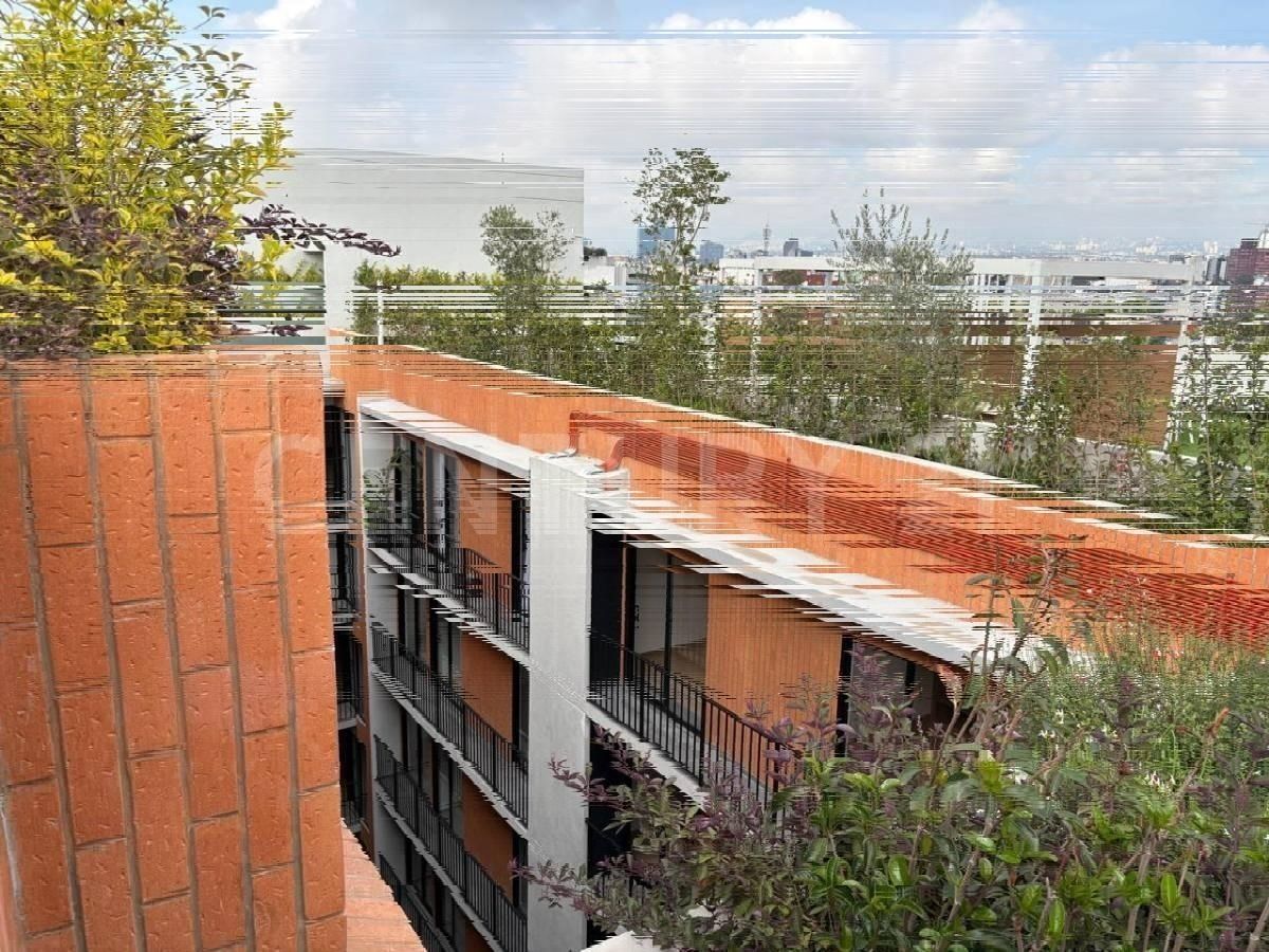 5 de 31