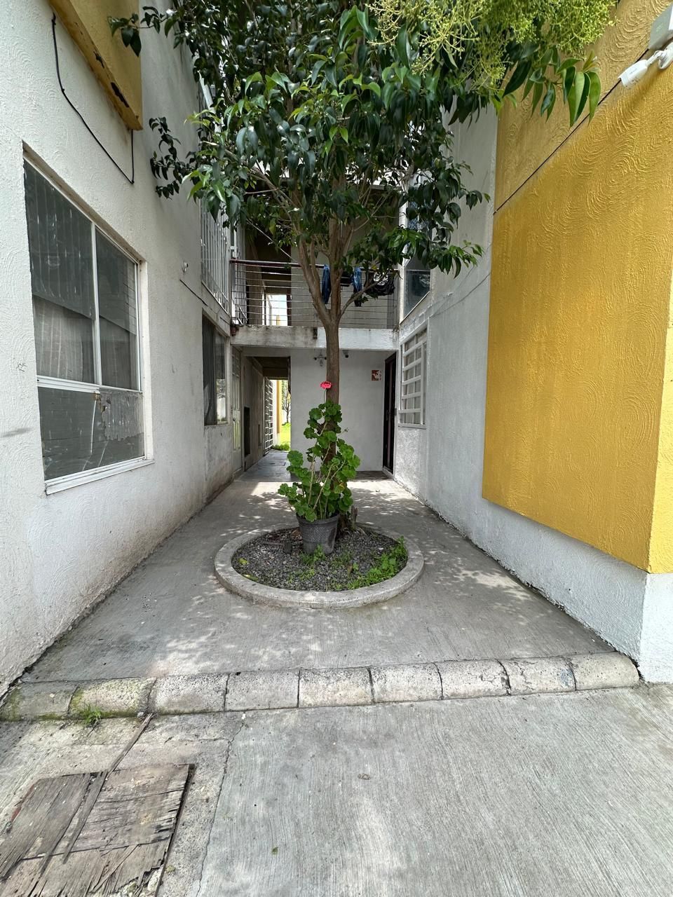 2 de 12