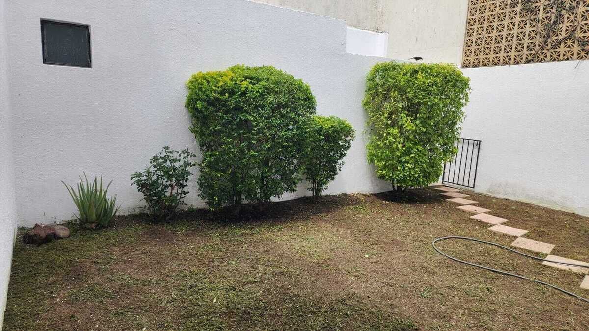 38 de 38