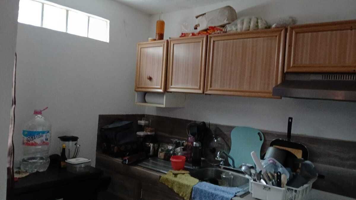 6 de 14