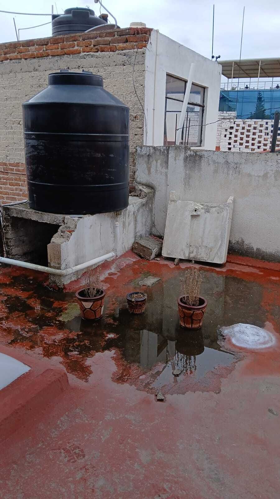 14 de 14
