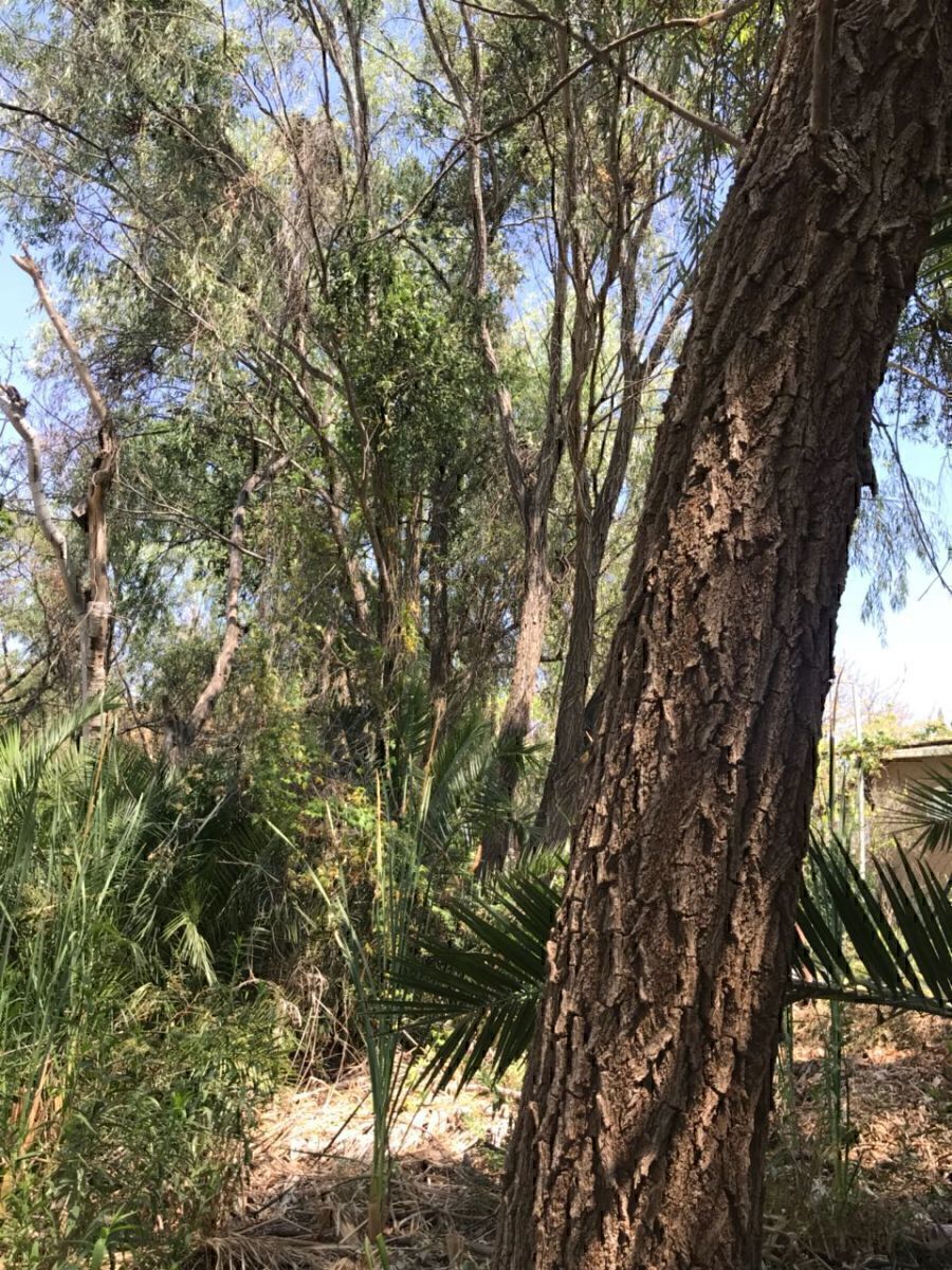 11 de 48