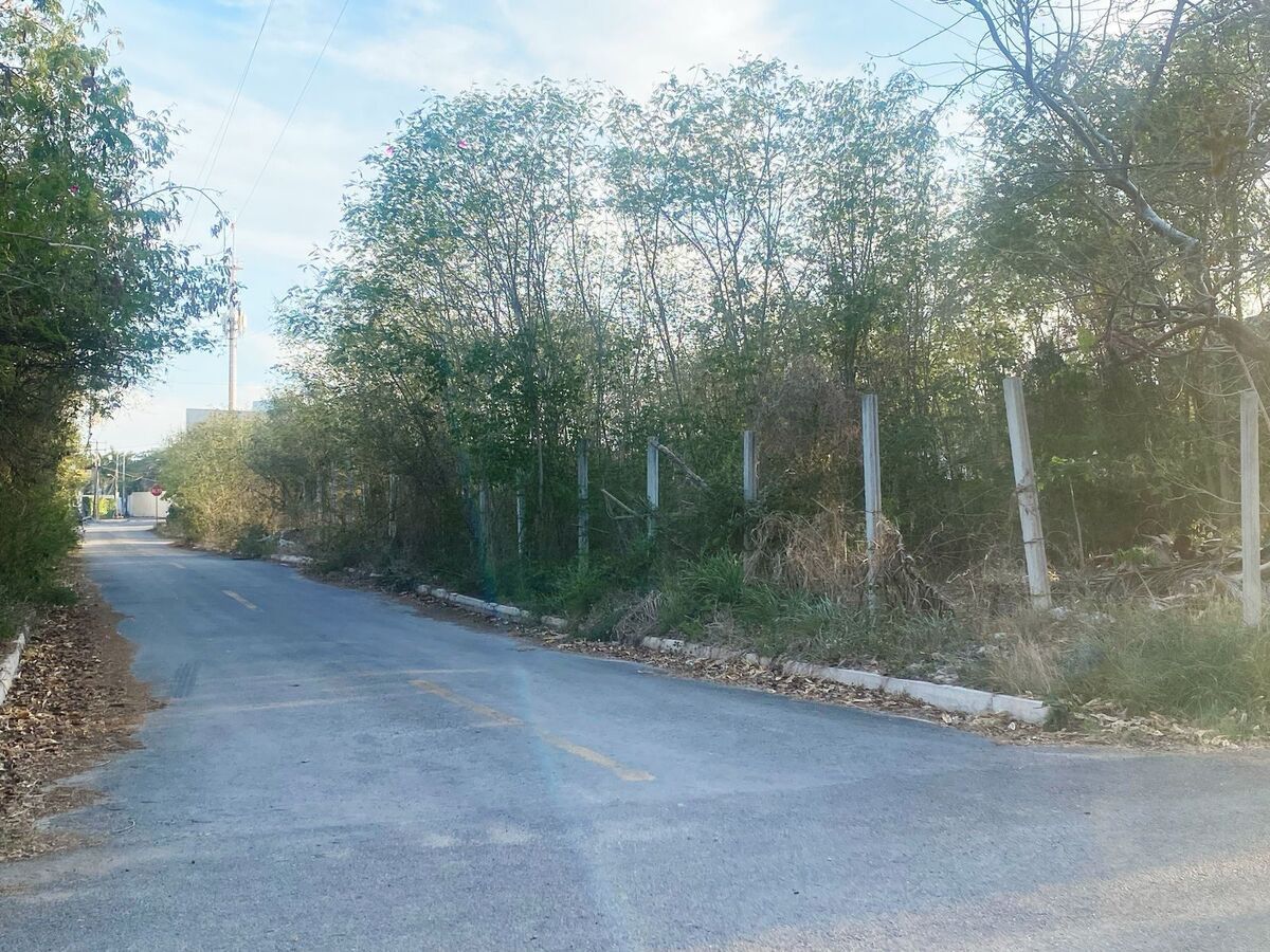 3 de 4