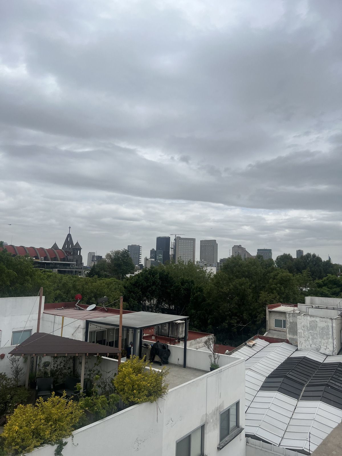26 de 29