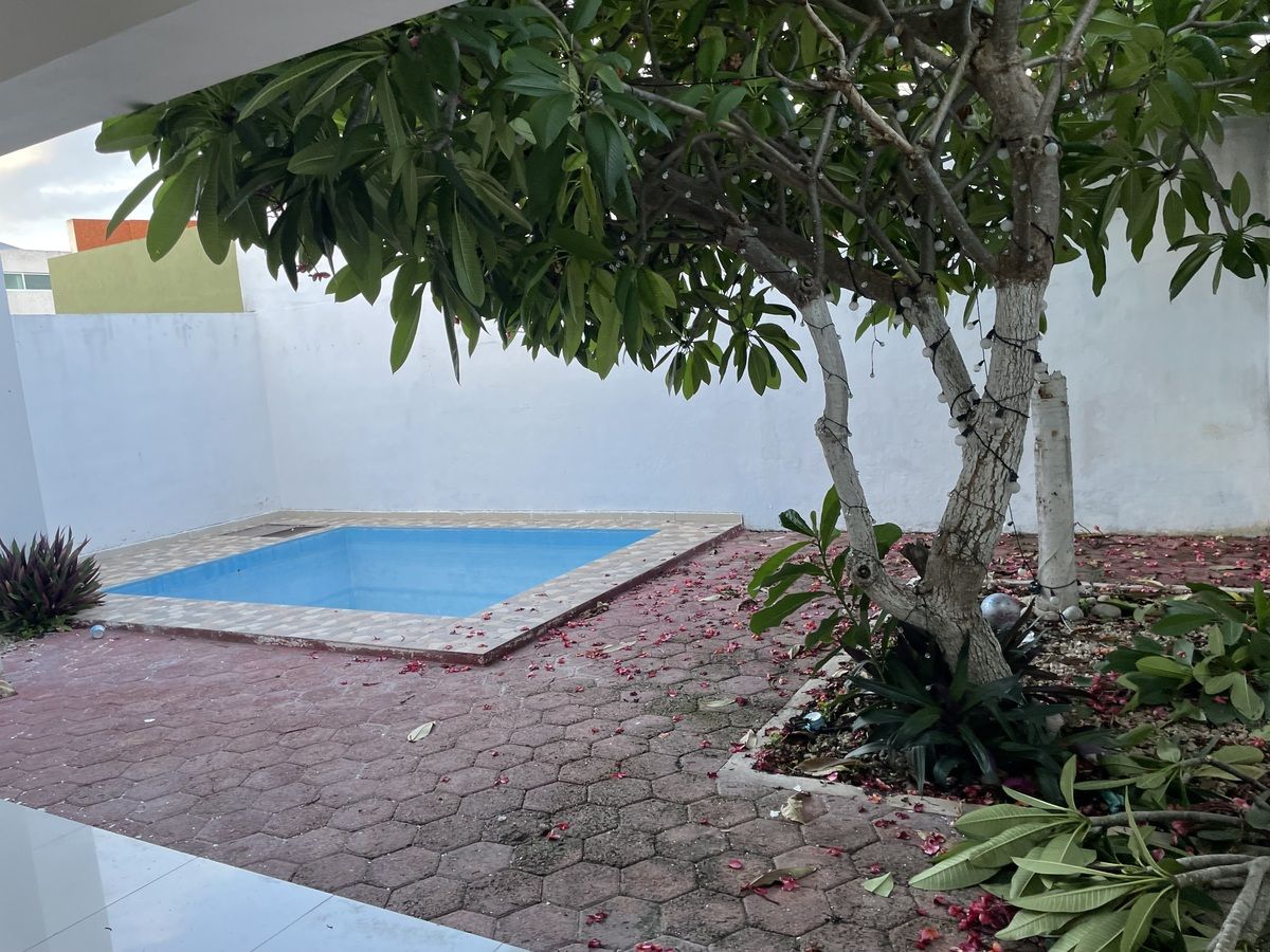 3 de 19: Piscina
