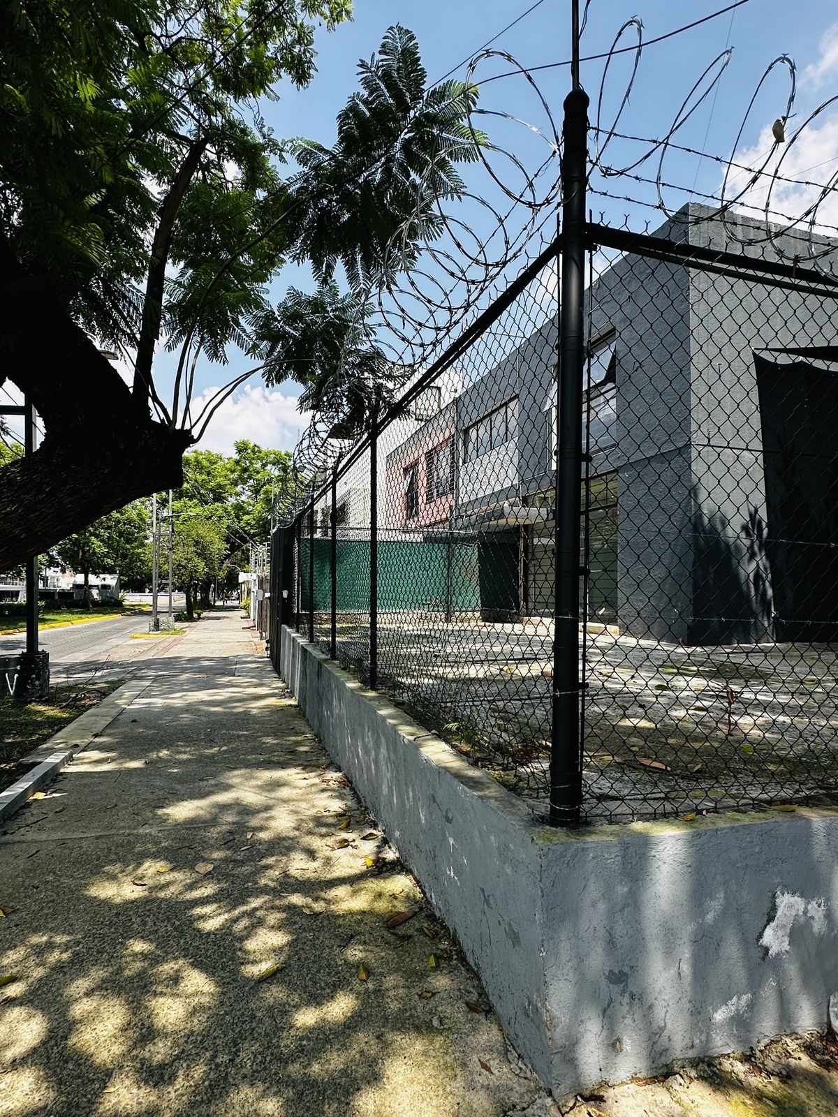 5 de 17: Esquina Hidalgo