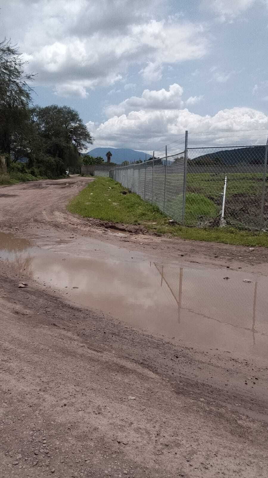 5 de 11