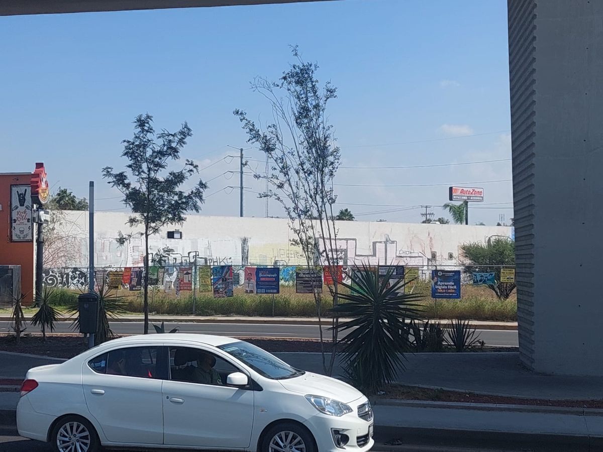3 de 24