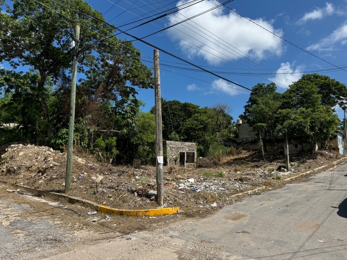 5 de 5