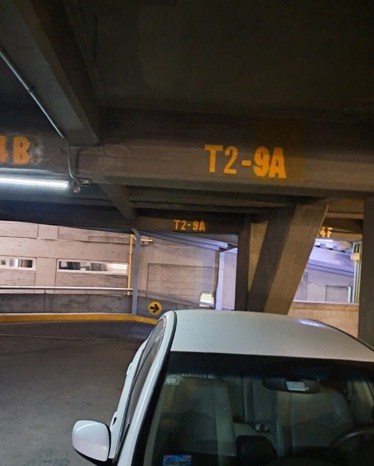 Imagen 8 de 10