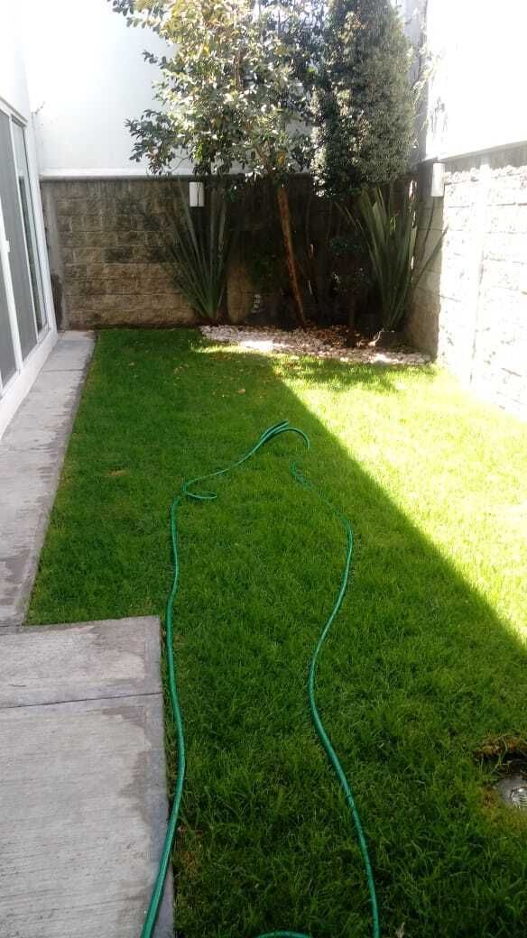 7 de 18