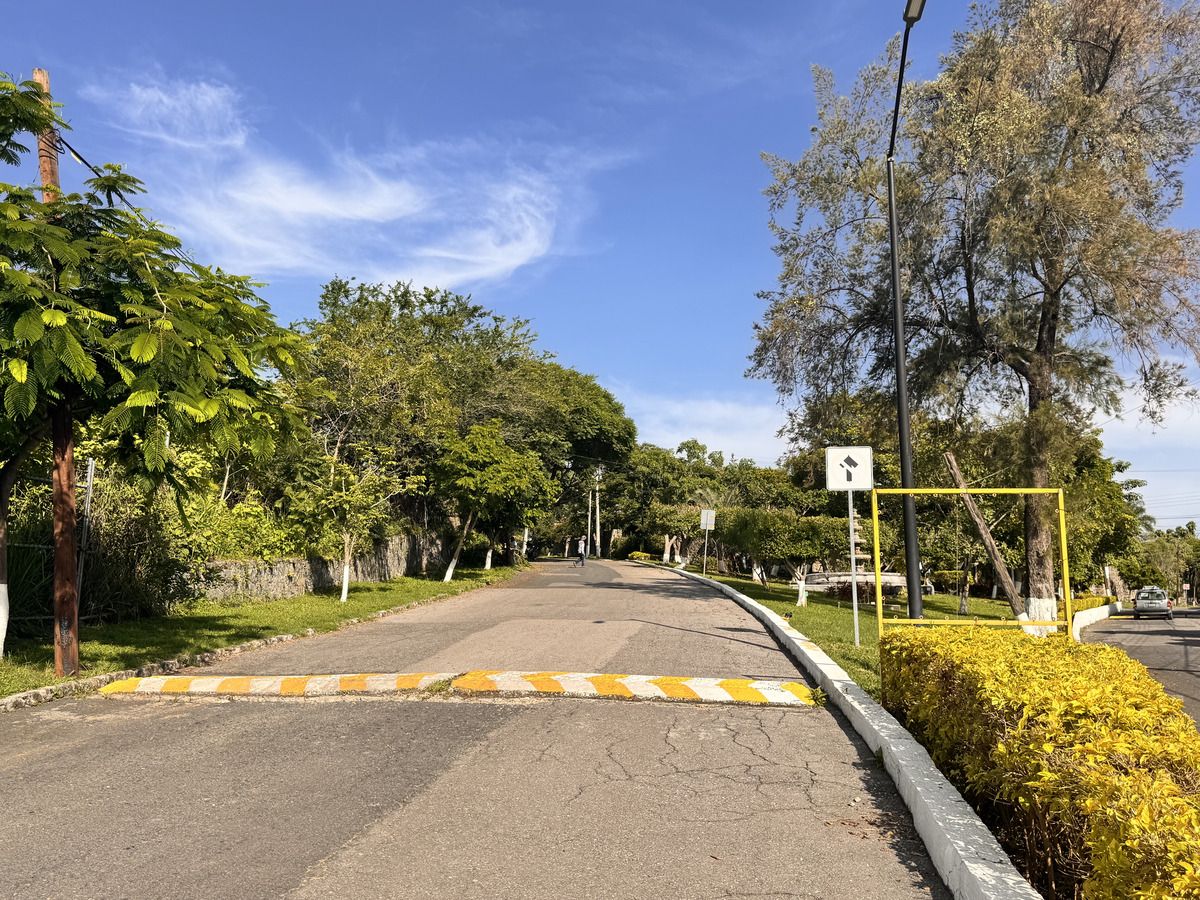 17 de 17