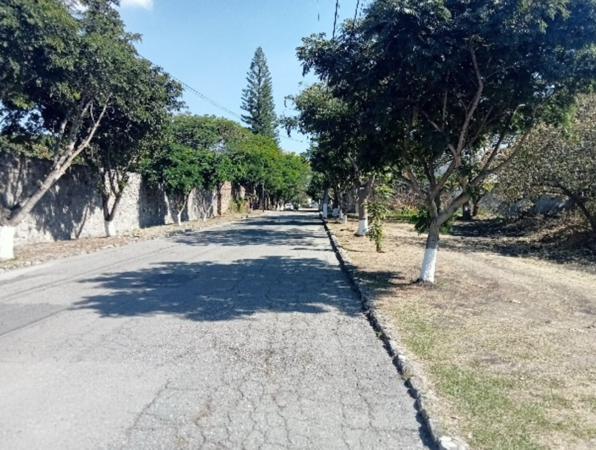 5 de 6