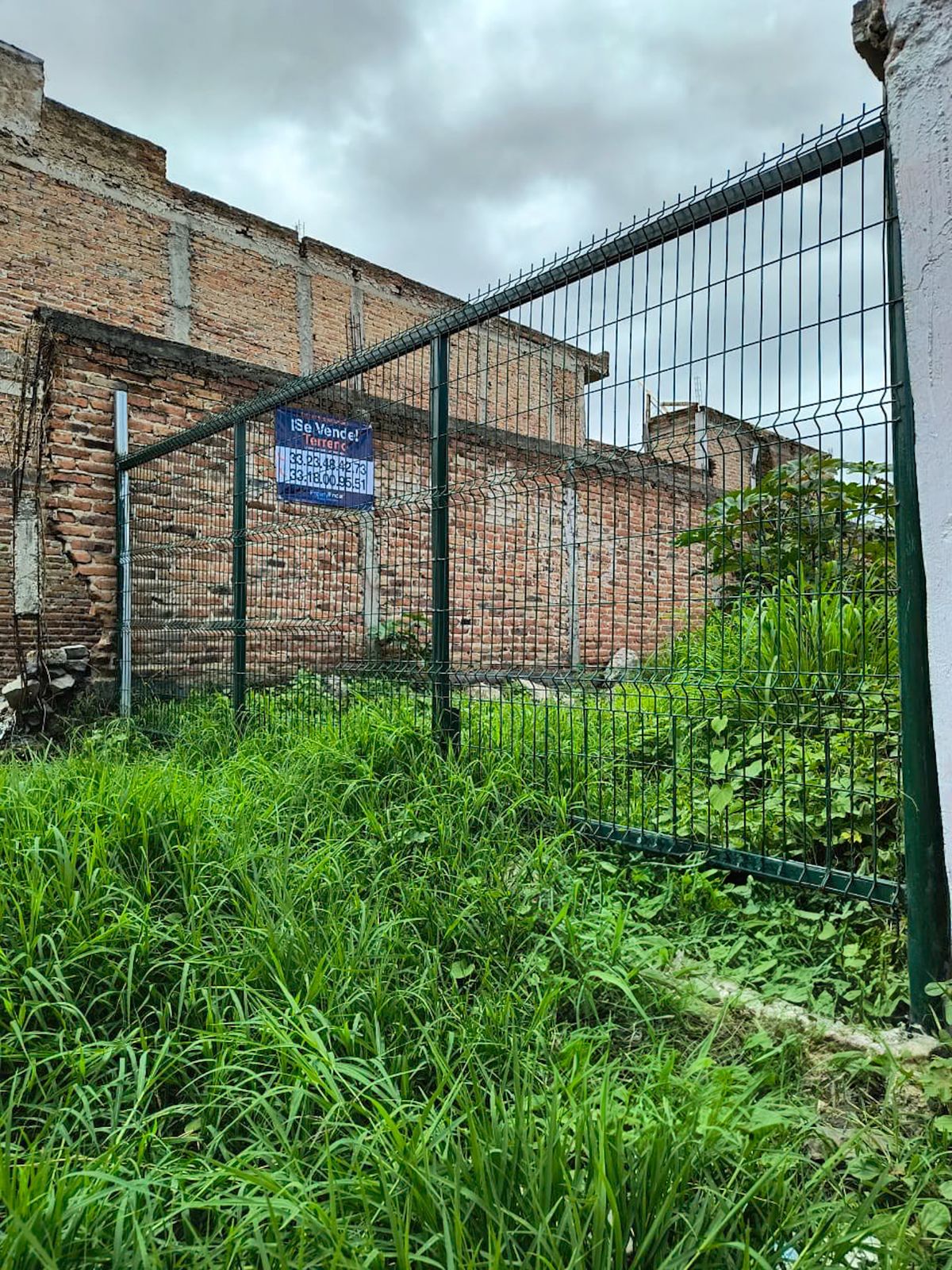 4 de 10